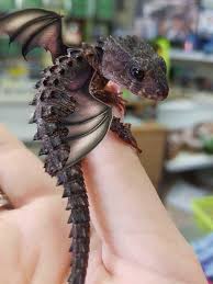 However, in china, the dragon has always been a revered creature. Little Dragons Cute Fantasy Creatures Fantasy Creatures Dragon Sculpture