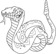 Download and print these animal, rattlesnake coloring pages for free. Pin On Snakes Ewwwwwwwwwww