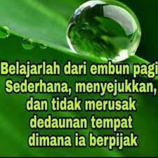 Kata kata motivasi semangat pagi memang sangat cocok dijadikan sebagai motivator, karena di saat masih pagi fikiran kita masih fresh sehingga mudah menangkap kata kata motivasi yang diharapkan dapat menjadi pendorong semangat dalam menjalankan aktifitas. Kata Mutiara Setetes Embun Pagi Cikimm Com