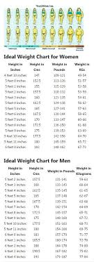Correct Height And Weight Chart For Women And Men Find Your Ideal Weight To Height Ratio And Follow T Weight Charts For Women Weight Charts Ideal Weight Chart