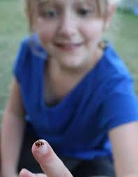 Cotton Pest Management Guide