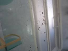 Microsoft teams を今すぐダウンロードしましょう。windows、mac、ios、android のどのデバイスでもつながることができます。microsoft teams アプリで共同作業を効率化しましょう。 éãåºãæµ´å®¤ã®é¡ã'ikeaã®ãã¹ã«ã¼ã ãã©ã¼ã«äº¤æãã M9 Diy