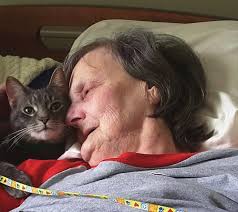 Friendship Village Visits Make a Big Difference