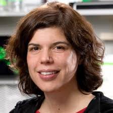 Jay Bhattacharya Email & Phone Number