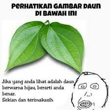 142 60 tulip warna warni. Https Alfiancmx Blogspot Co Id 2017 10 Gambar Meme Herp Flickr
