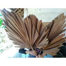Informasi lebih lanjut bisa anda baca dalam penjelasan perlindungan data kami. Daun Palm Kering Untuk Dekorasi Rustic Large Shopee Indonesia