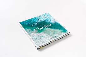 Amazon Com The Life And Love Of The Sea 9781419718625 Lewis Blackwell Books Best Coffee Table Books Coffee Table Books Perfect Coffee Table
