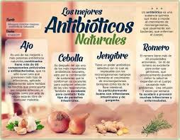 Los Mejores Antibioticos Naturales Ajo Cebolla Jengibre Y Romero The Best Natural Antibiotics Ga Antibioticos Naturales Nutricion Beneficios De Alimentos