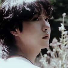 Support for K-pop Artists Against Sasaengs