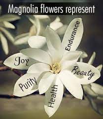 Magnolia Flower Meaning Magnolia Flower Flower Meanings Magnolia Tattoo