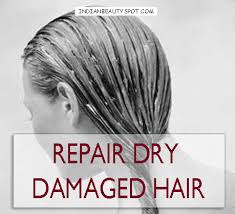 There are hundreds upon hundreds of different. Repair Dry Damaged Hair At Home Simple Business Guru