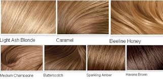Light Brown Hair Color Chart World Of Template Format