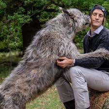 I think he is the best male argentinian model. Furor En Las Redes Por El Perro Gigante De Ivan De Pineda Diarioshow El Portal De Espectaculo