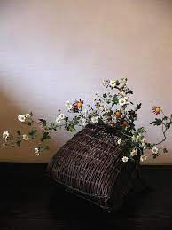 菊の頃 一花一葉 ｂｙ アツシ ikebana flower arrangement ikebana arrangements ikebana