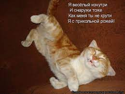 Я весёлый изнутри И снаружи тоже Как меня ты не крути Я с прикольной рожей!  / котоматрица / смешные картинки и другие приколы: комиксы, гиф анимация,  видео, лучший интеллектуальный юмор.