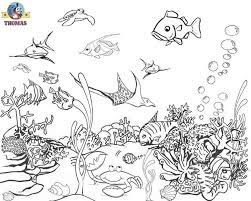 Use these images to quickly print coloring pages. Advanced Coloring Pages For Artists Bing Images Ocean Coloring Pages Sea Animals Drawings Animal Coloring Pages