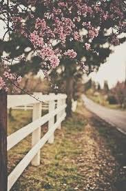 Hipster Vintage Indie Dream Grunge Flowers Wallpaper Pink Colorful Way Flowers Photography Wallpaper Spring Wallpaper Photography Wallpaper