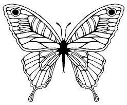 Butterfly Wing Drawing Butterfly Sketch Sketch Tattoo Design Wings Drawing