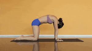 According to the university of california, davis, stretching helps in calming the mind, refreshing blood flow, managing stress, and increasing energy levels. The Health Benefits Of Cat Cow Pose Ayurveda Medicare