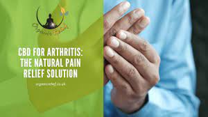 CBD oil anti inflammatory, do CBD gummies help with arthritis hemp delight gummies