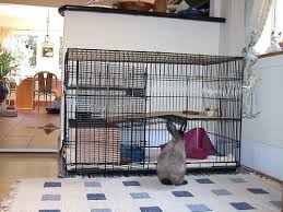 Turning A Dog Crate Into A Rabbit Cage Description From Pinterest Com I Dog Crate Bunny Cages Dog Cages
