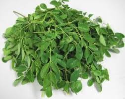 10 Amazing Superfoods Harnessing Nature S Healing Potential Wake Up World Moringa Moringa Leaf Powder Moringa Leaves