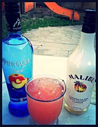 Fuzzy Melon Fresh Puree Watermelon Equal Parts Peach Vodka Malibu Rum Smoothie Drinks Girly Drinks Pineapple Rum Drinks