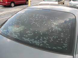 After the installation process, it undergoes a drying period known as curing time. Bubbles In The Tint Kansas City Window Tint Service