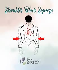 Shoulder Blade Squeeze Sitting Comfortably On A Chair With Arms Relaxed By Your Side Squeeze Shoulder Blades Together Without Raising Them Hold For 8 Seco