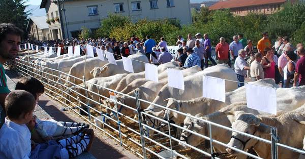 Imagen de referencia de DCXXXI Feria de Ganado en Agurain/Salvatierra