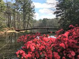 Summer family adventure began in 1960 as the first family vacation program of its kind. Callaway Gardens Archives Finding Family Adventures
