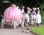 Katie Price Alex Reid Wedding