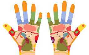 reflexology hand chart locate reflex points for relaxation