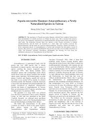 Image result for Pupalia micrantha