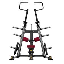 Les programmes de musculation sans matériel comme la méthode lafay sont très bien pour débuter ou pour de la remise en forme, mais ils montreront leur limite au fur et à mesure de votre progression. Presse De Musculation Dorsaux Avec Range Disques Musculation Bh Fitness