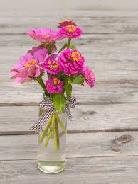Use as a vertical accent as part of a mixed container. 12 Easy Cutting Garden Flowers To Grow In Containers Apartment Therapy