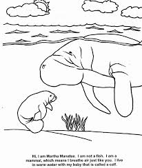 Free, printable coloring pages for adults that are not only fun but extremely relaxing. Manatees Coloring Pages Coloring Home