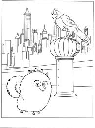 The Secret Life Of Pets Coloring Pages 40 Secret Life Of Pets My Little Pony Coloring Coloring Books