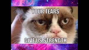 This is just a fan page to show my devotion to tardar sauce! Funniest Grumpy Cat Memes Clean Youtube