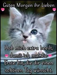 Katzen Katzensprache Sussekatzen In 2020 Guten Morgen Lustig Guten Morgen Liebe Guten Morgen