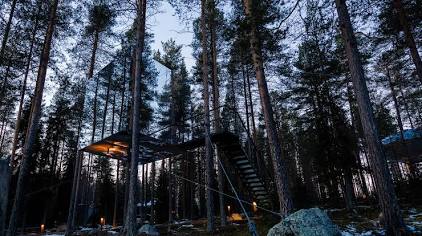 Treehotel.se - The Mirrorcube
