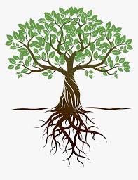 Check spelling or type a new query. Transparent Roots Png Clipart Tree With Roots Png Download Kindpng