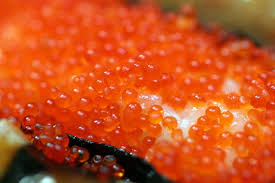 Catch times assume that the player is. Fish Eggs Rachel Does Science