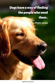 125 Sentimental Dog Quotes For The Master Of Unconditional Love Dog Quotes Dog Quotes Funny Losing A Dog Quotes