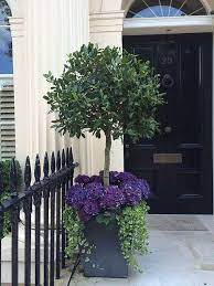 There are 25276 front door flower for sale on etsy, and they cost $59.16 on average. Plant A Tree In A Big Enough Pot Front Porch Flower Pots Front Porch Flowers Porch Flowers
