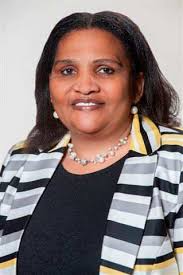 DRAFT 2015-16 IDP (website)