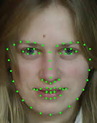 Less is More: Facial Landmarks can Recognize a Spontaneous Smile