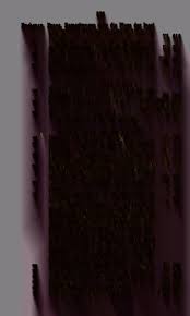 Image result for Hydrostachys myriophylla