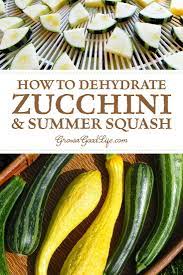These will last for 5 to 10 months. Dehydrating Zucchini For Food Storage Dehydrated Vegetables Dehydrator Recipes Harvest Cooking