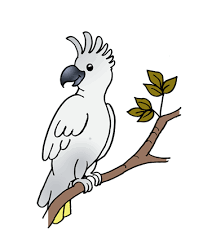 These alphabet coloring sheets will help little ones identify uppercase and lowercase versions of each letter. Cockatoo 2 Coloring Pages For Kids To Color And Print